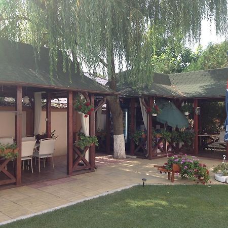 Vila Royal Urziceni Екстериор снимка